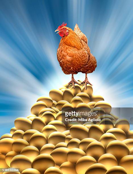 chicken laying golden eggs - mike agliolo 個照片及圖片檔
