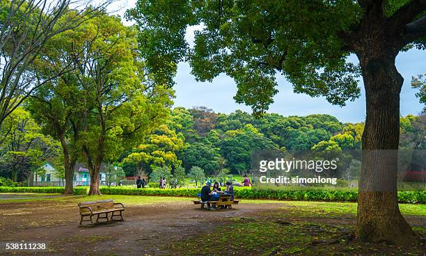 japanese family picnic in the park ,tokyo japan - garden table stock-fotos und bilder