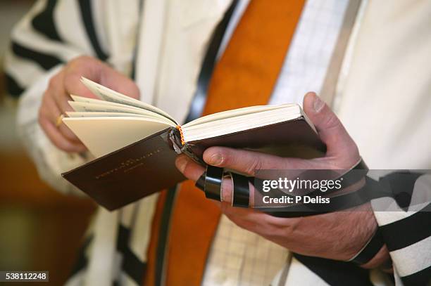 man reading torah and wearing phylactery at synagogue - tefillin foto e immagini stock