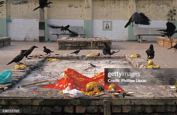 delhi crematorium - crematorio foto e immagini stock