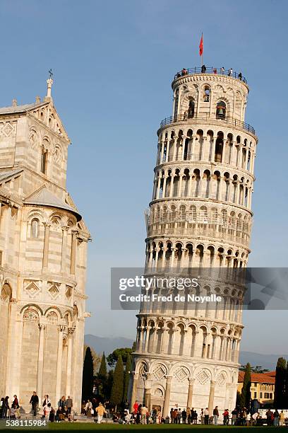 cathedral and leaning tower of pisa - torre de pisa imagens e fotografias de stock