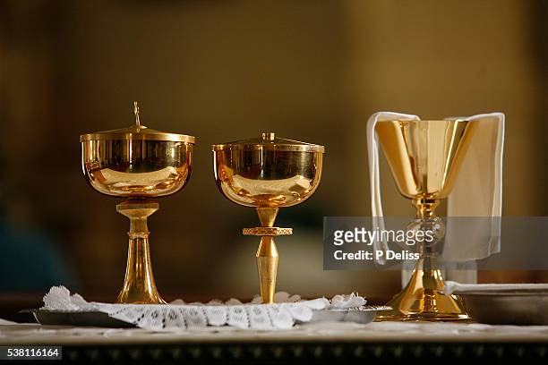 eucharist celebration in st mary's roman catholic church, new york - cáliz fotografías e imágenes de stock