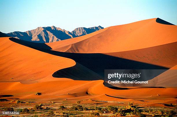 sossusvlei dunes in the namib desert - repubblica della namibia foto e immagini stock