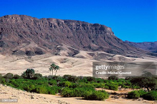 kaokoland desert - kaokoveld stock pictures, royalty-free photos & images