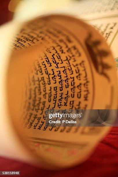book of esther at purim celebration - purim stock pictures, royalty-free photos & images