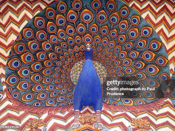 ornate peacock decoration in northen india - peacock painting stock pictures, royalty-free photos & images