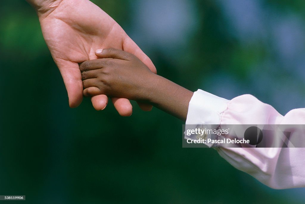 Child Holding Adult's hand