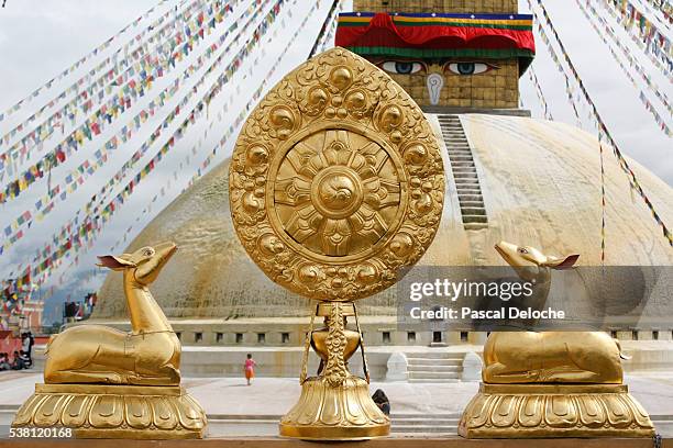 dharma wheel and deer statues - dharmachakra stock pictures, royalty-free photos & images