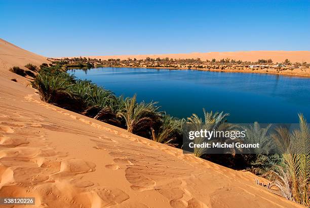 gabraoun oasis in erg ubari desert - ubari wüste stock-fotos und bilder