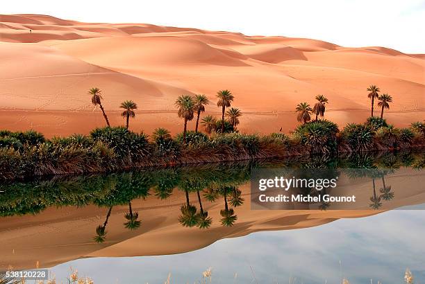 mafo lake in the libyan desert - sahara desert stock-fotos und bilder