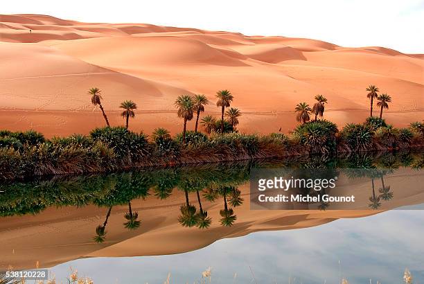 mafo lake in the libyan desert - オアシス ストックフォトと画像