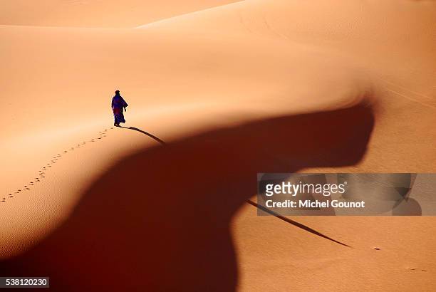man walking in libyan desert - touareg 個照片及圖片檔
