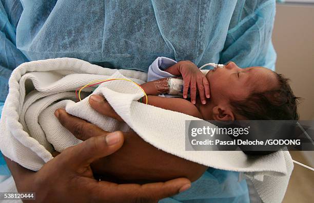 premature infant in hospital in paris - black premature babies stock pictures, royalty-free photos & images