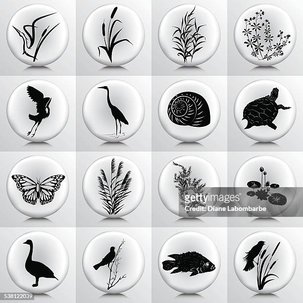 illustrations, cliparts, dessins animés et icônes de marécages icônes de marsh plantes, d'oiseaux, de poissons sur gris bouton - swamp