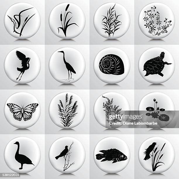 bildbanksillustrationer, clip art samt tecknat material och ikoner med wetlands icons with marsh plants, birds, fish on grey button - vass gräsfamiljen