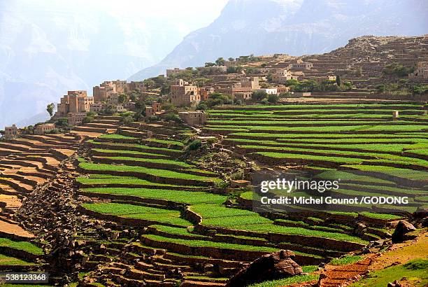 terraced fields at dira in yemen - michel field stockfoto's en -beelden