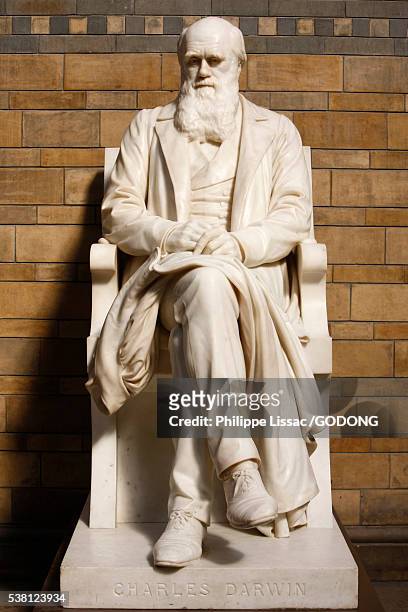 statue of charles darwin in natural history museum - darwin fotografías e imágenes de stock