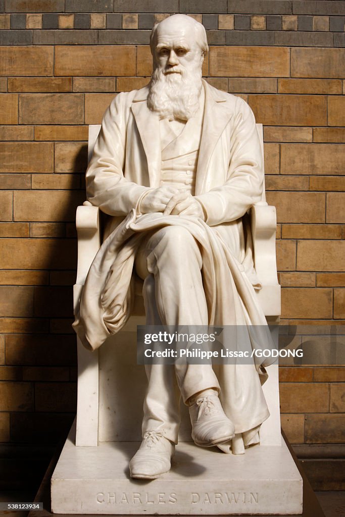Darwin Statue Statue Of Charles Darwin In Natural History Museum High-Res Stock Photo ...
