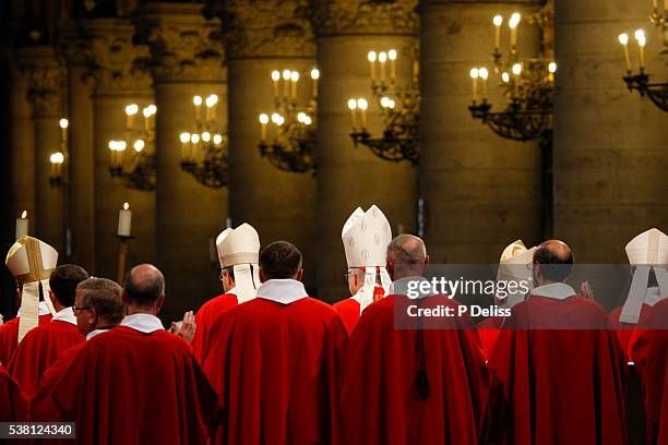 priests and bishops at notre dame de paris cathedral - bishop clergy stock pictures, royalty-free photos & images