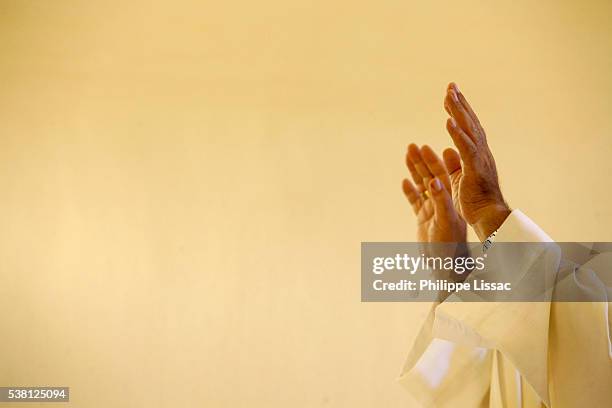 festa della lizza celebration in santa maria dell'alizza church, alezio, apulia - priest stock pictures, royalty-free photos & images