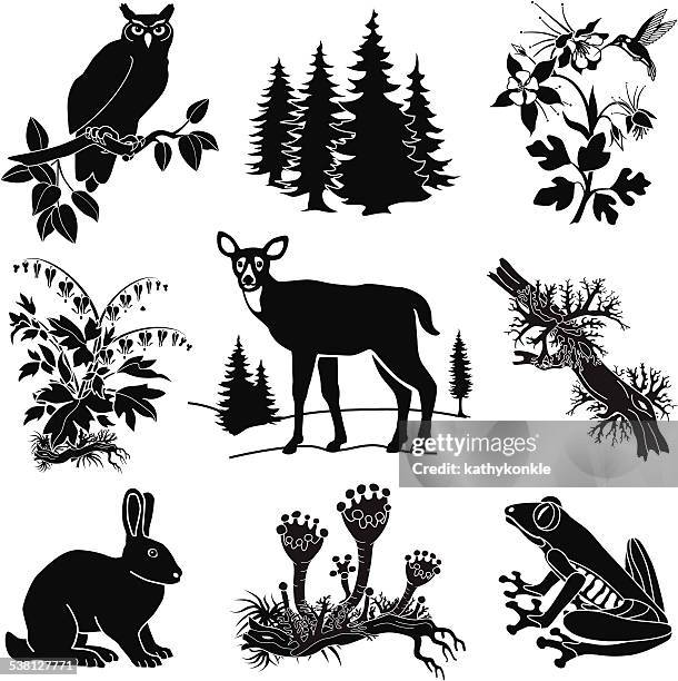 vector forest wildlife set in black and white - columbine flower stock illustrations