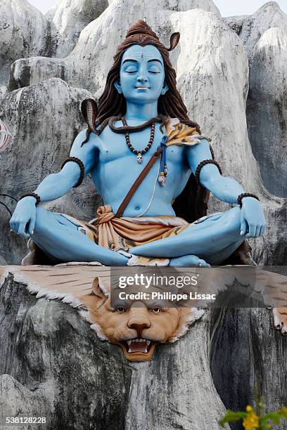 statue depicting shiva sitting on a tiger skin and meditating in the himalayas - sitting shiva stock pictures, royalty-free photos & images