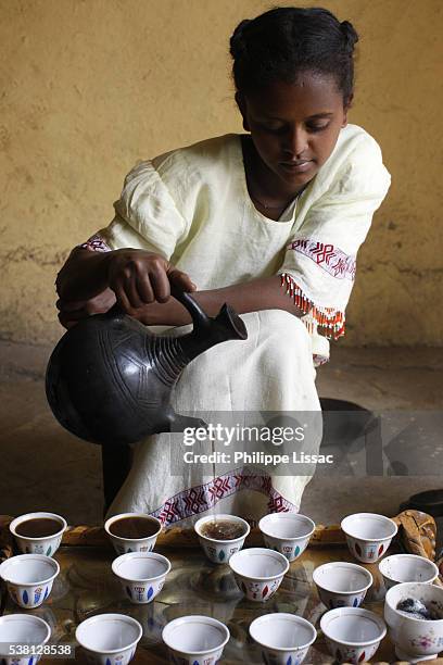 ethiopian coffee ceremony - traditional ethiopian girls stock-fotos und bilder