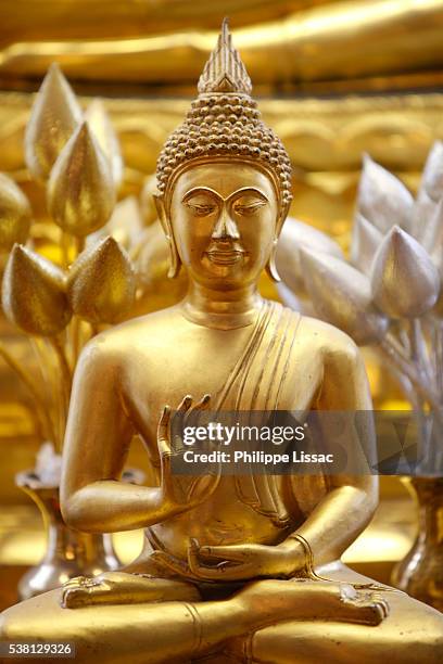golden buddha in buddhapadipa temple - buddha stock pictures, royalty-free photos & images