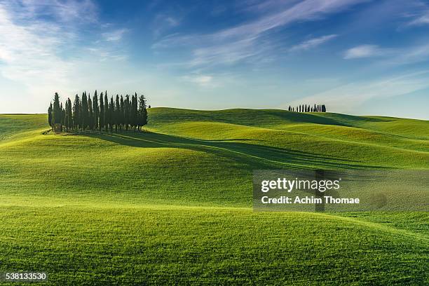 spring in tuscany / val d'orcia / italy - achim hill stock pictures, royalty-free photos & images