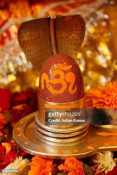 1,235 Shiva Lingam Photos and Premium High Res Pictures - Getty Images