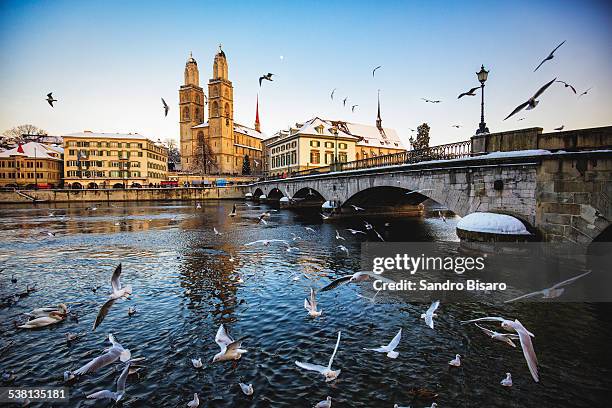 zurich grossmunster in winter with birds - zürich fotografías e imágenes de stock