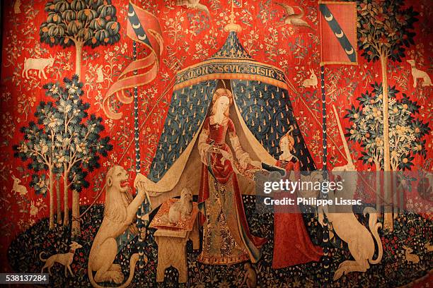 dame a la licorne tapestry in musee de cluny - tapestry stock pictures, royalty-free photos & images