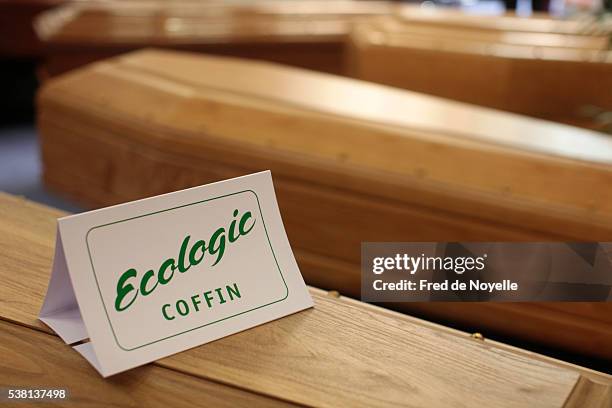 ecologic coffin - casket stock pictures, royalty-free photos & images