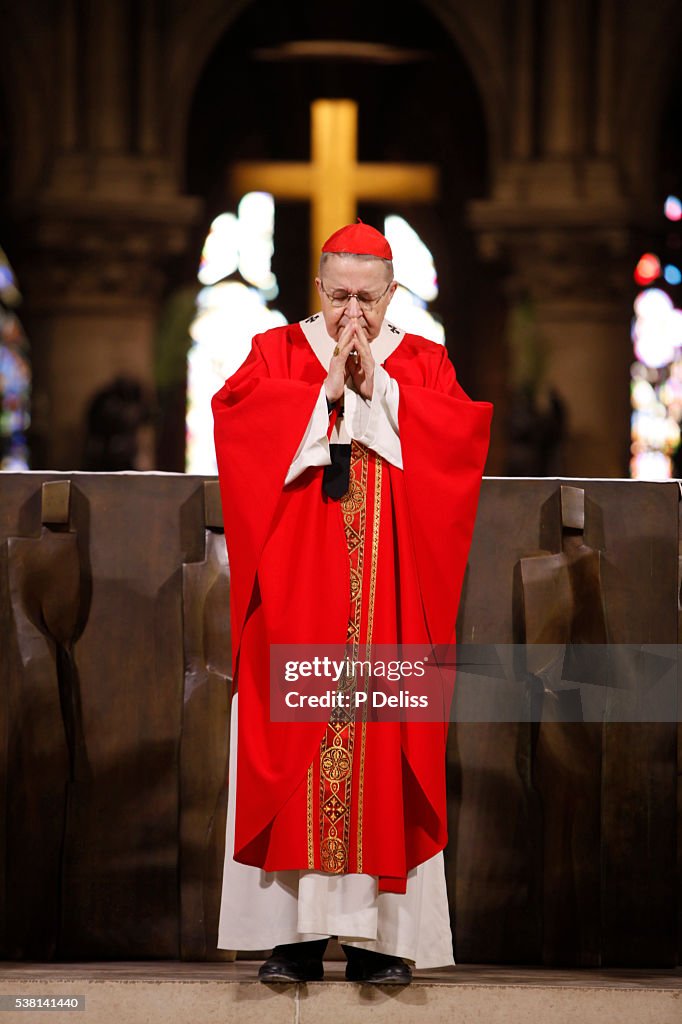 Palm sunday mass at Notre Dame Cathedral, Paris, celebrated by cardinal André Vingt-Trois