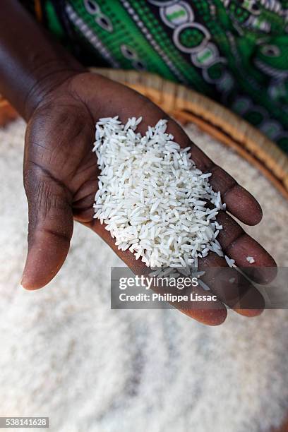 Embu Rice Factory 197 Embu Kenya Stock Photos, High-Res Pictures, and Images - Getty Images