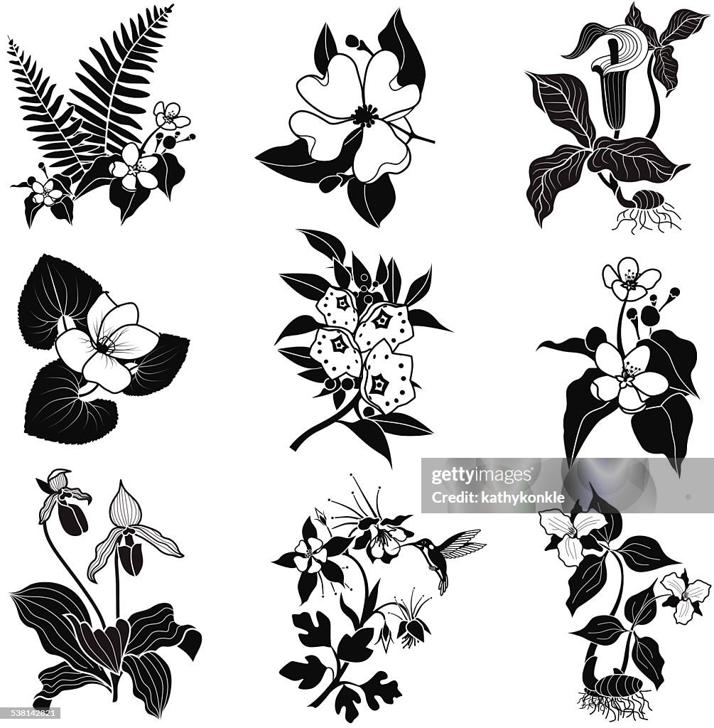 Set of vector woodland flowers in black and white