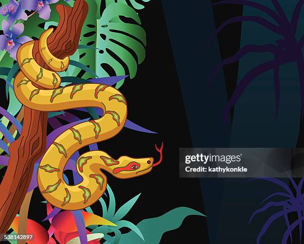 illustrations, cliparts, dessins animés et icônes de boa constricteur dans la forêt amazonienne jungle horizontales - amazon rainforest snakes