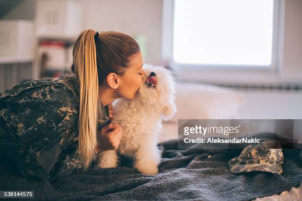 meeting after long time - dog greeting stock pictures, royalty-free photos & images