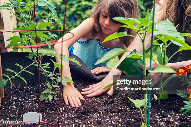 mother and daughter gardening in a small space outdoors. - gardening hands stock pictures, royalty-free photos & images