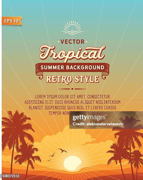 tropischen strand hintergrund - sunset stock-grafiken, -clipart, -cartoons und -symbole