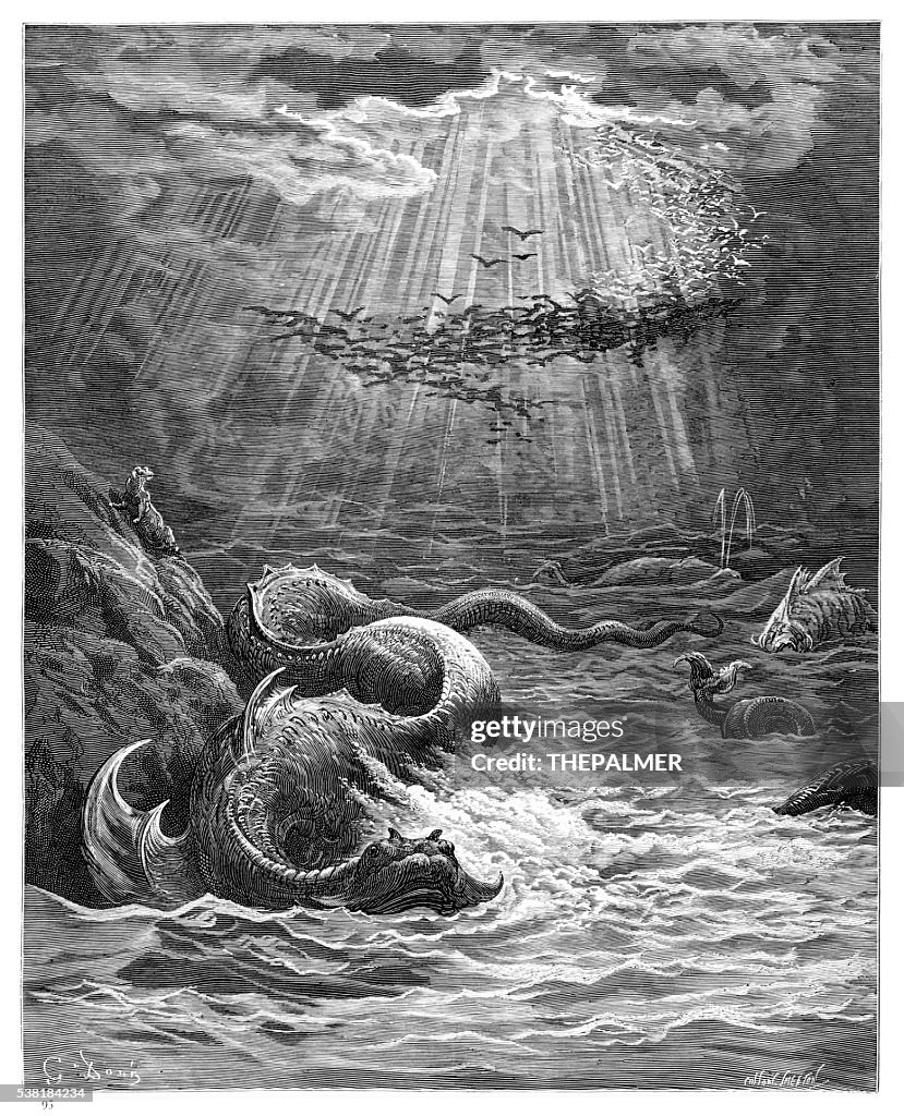 God Creating Cuttlefish The Creation Of Fish Ahd Birds High-Res Vector Graphic - Getty Images
