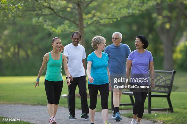 seniors walking together at the park - group fitness stockfoto's en -beelden