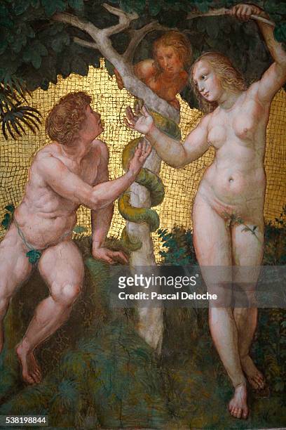 adam & eve. fresco by raffaello sanzio known as raphaël (1483-1520). room of the segnatura. vatican museum. - roman fresco stock pictures, royalty-free photos & images