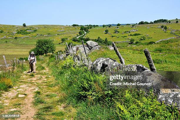 pilgrim on the way of st. james. - cantal fotografías e imágenes de stock