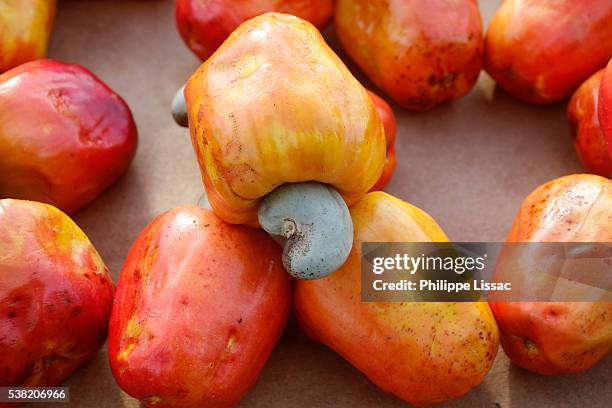 cashews - cashew fotografías e imágenes de stock