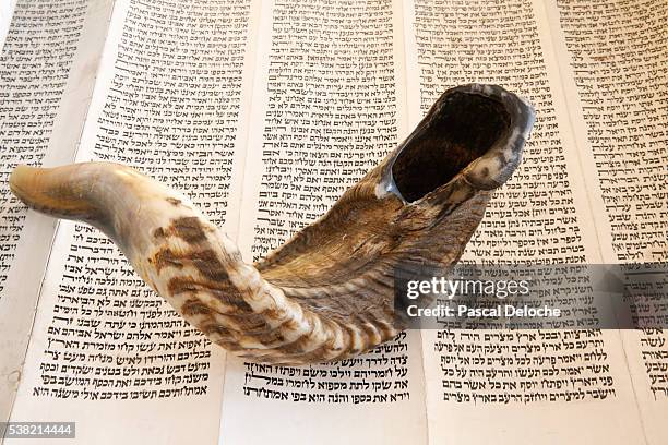 shofar, musical instrument used for jewish religious purposes. - shofar stock pictures, royalty-free photos & images