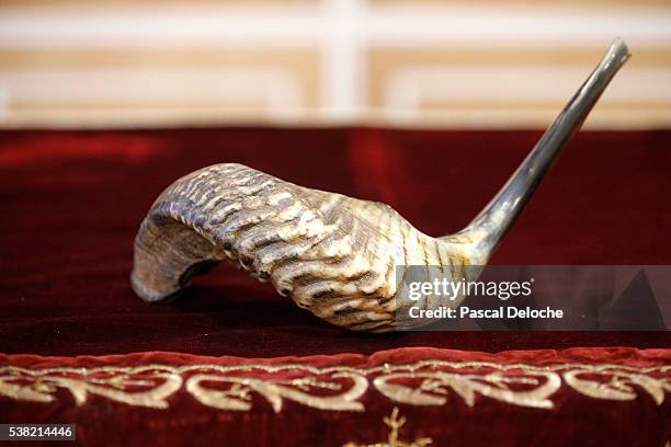 shofar, musical instrument used for jewish religious purposes. - shofar stock pictures, royalty-free photos & images