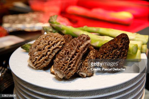 morels and asparagus. - morel mushroom stock pictures, royalty-free photos & images