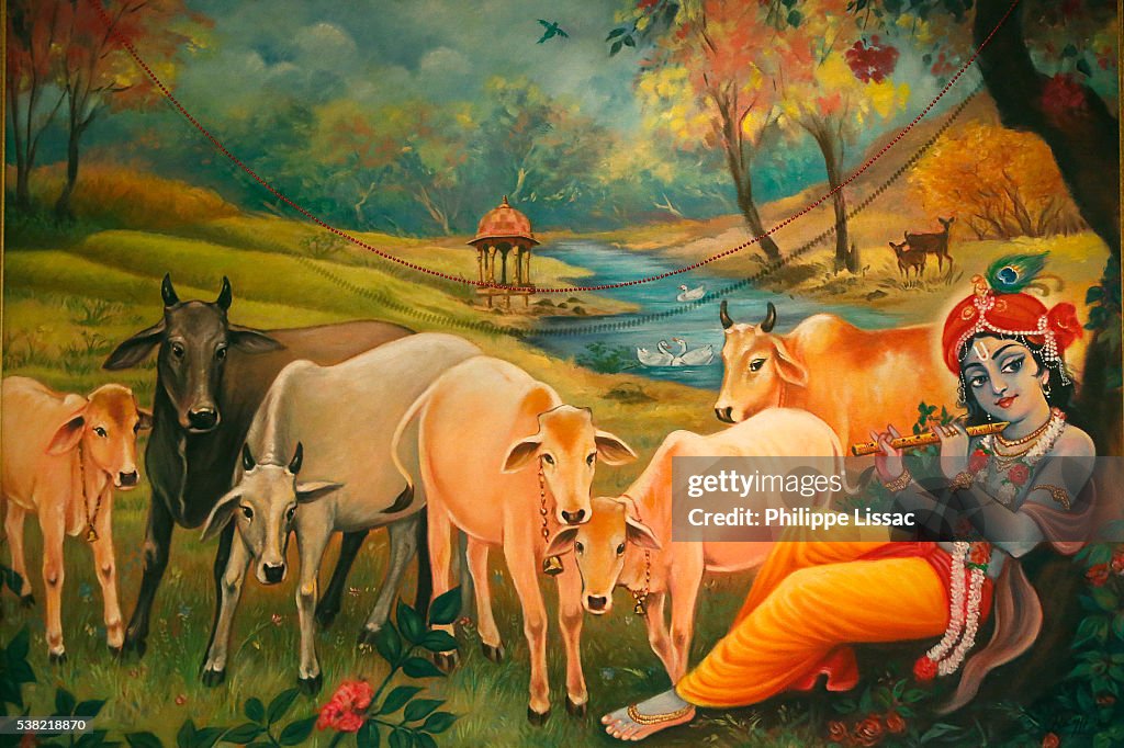 Painting In The London Iskcon Hindu Temple Krishna As A Cow Herder High-Res  Stock Photo - Getty Images
