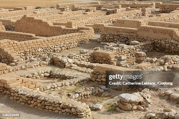 the biblical tells of beer sheba. fifteen strata of settlement have been discovered at tel be'er sheba, from chalcolitic to the early arab perido. - beersheba fotografías e imágenes de stock